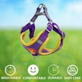 thumbnail image 5 of HANI Dog Harness, Pet Harness with 1 Dog Leash, Adjustable Soft Padded Dog Vest, Reflective No-Choke Pet Suede Vest with Easy Control Safety buckle,Fit for Small Dogs and Cats Rabbit​,Purple,S, 5 of 9