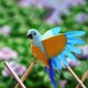 thumbnail image 5 of Estatua simulada, escultura de pájaro, arte artesanal, pájaros artificiales, figurita ed para patio, césped, accesorios de fotografía de jardín Naranja shamjiam Estatua de loro, 5 of 6