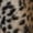 Animal, variant on No Boundaries Plush Jogger Pants, Women's and Women's Plus