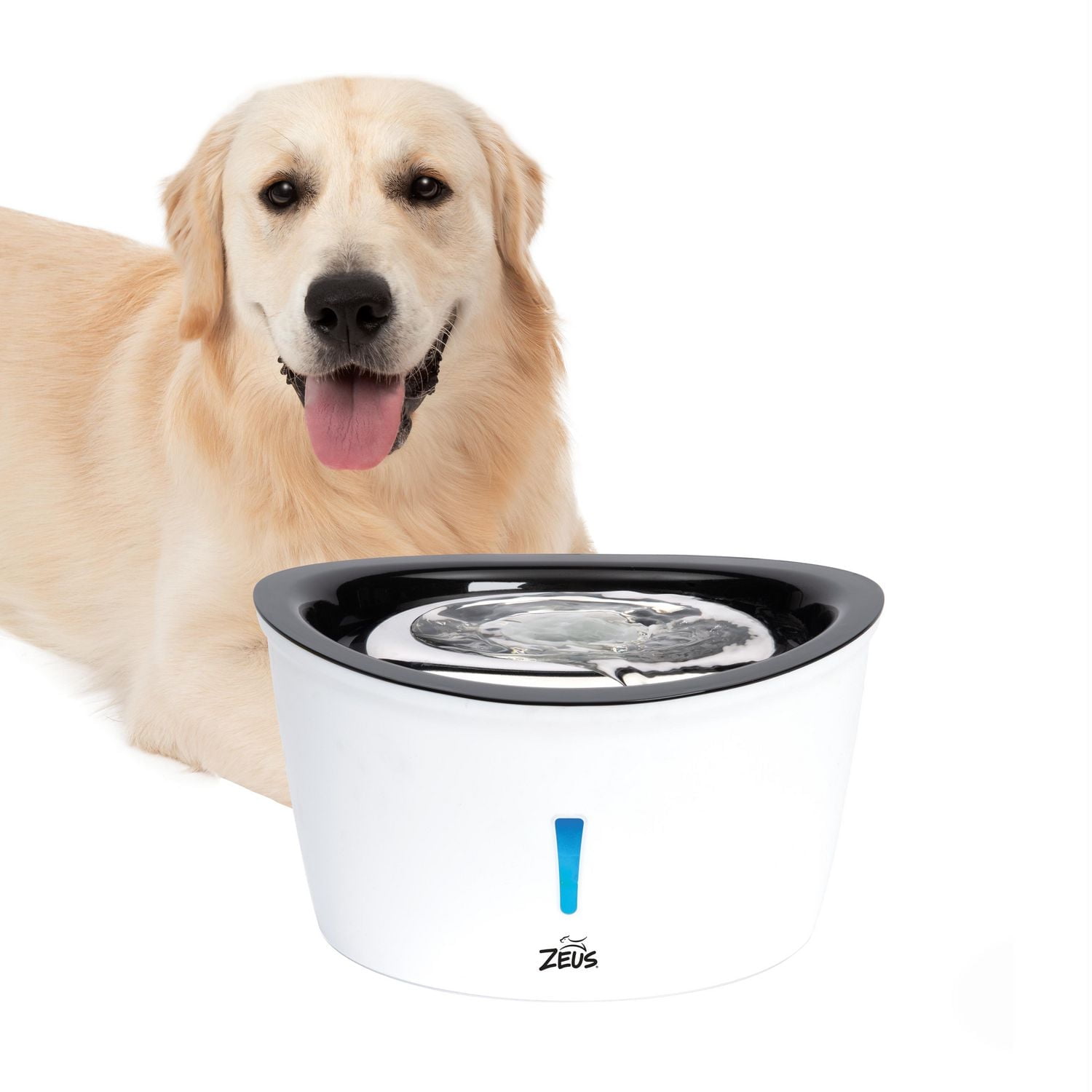Abreuvoir pour chiens Cascade Zeus, acier inoxydable, 6 L,