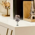 thumbnail image 6 of Desktop Ornament Cute Acrylic 2D Cat Car Desktop Decoration for Desk Bookshelf Animal Themed Figurine Home Décor, 6 of 7