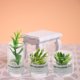 thumbnail image 2 of piezas de adornos para decoración del hogar, casa de muñecas, plantas artificiales en macetas, pequeñas cosas, juguete, muebles en miniatura para niños, 2 of 6