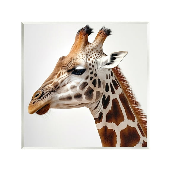 Stupell Industries Traditional Giraffe Portrait Animals & Insects Painting Unframed Art Print Wall Art, 12 x 12