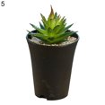 thumbnail image 2 of Gwong Decoración hogareña 1 Set Simulation Bonsai Anti-Fading Aftiles a prueba de golpes Faux Suculenta Plantas Potted Decoración de escritorio Gwong 21082696, 2 of 6
