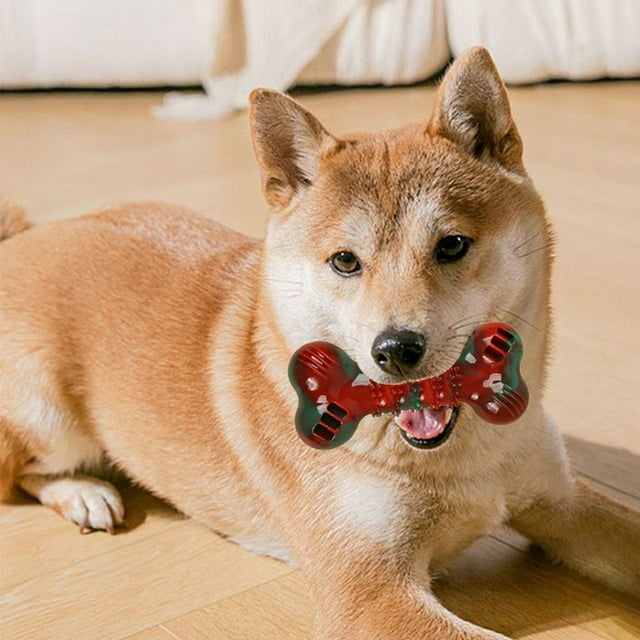 BotaniNest Interactive Chew Squeaky Durable Biting For Self Entertainment & Teething