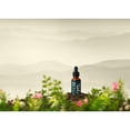 thumbnail image 5 of Gaia Herbs Echinacea Supreme Regenerative Organic Certified Tincher 1fl oz, 5 of 11