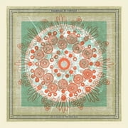 Trampled By Turtles - Life Is Good On The Open Road - Rock - Vinyl