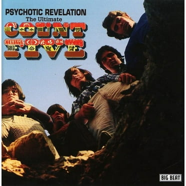 The Count Five - Psychotic Revelation the Ultimate Count Five - Rock - CD