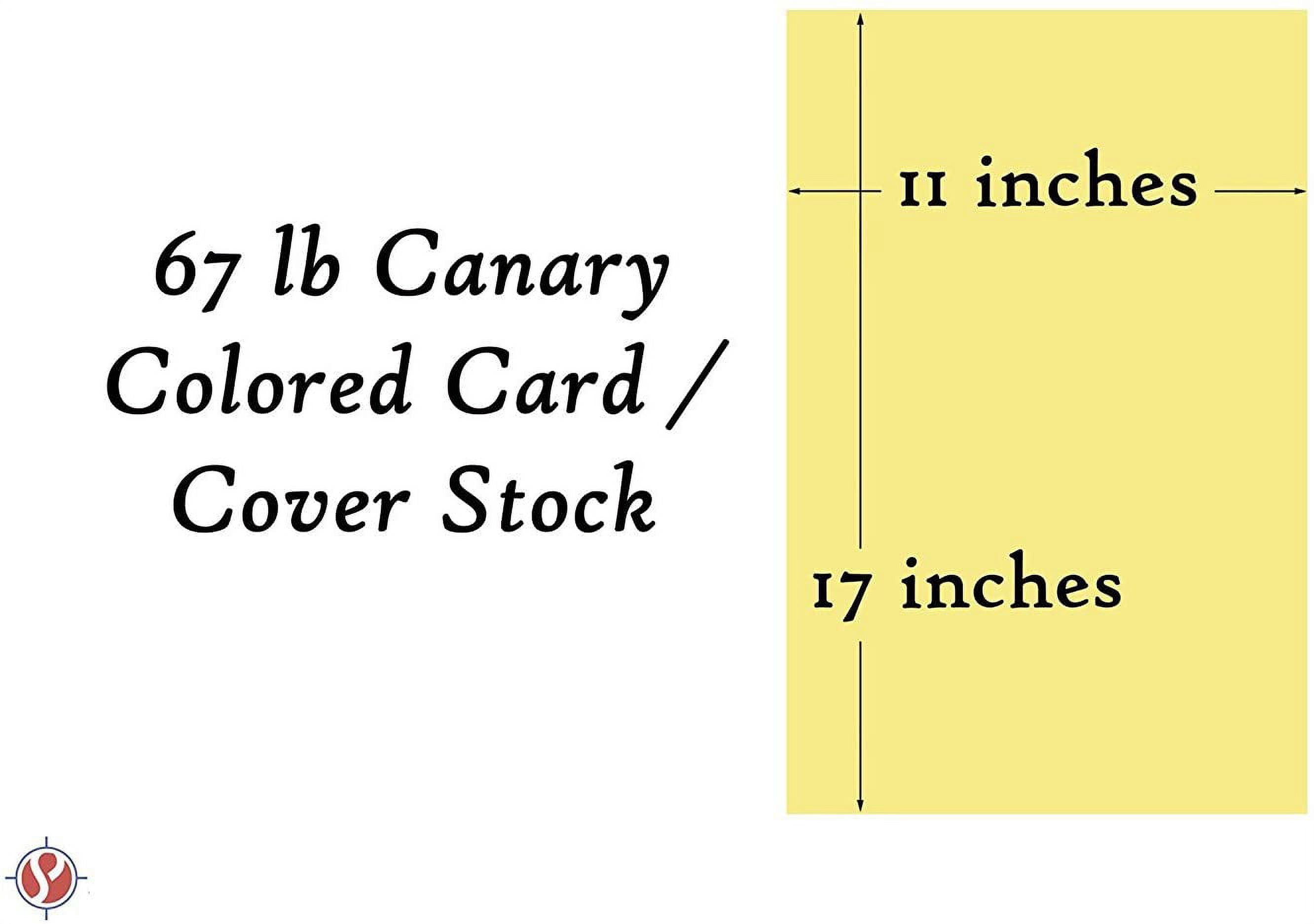 Color Cardstock Paper 67 Vellum Bristol, 1 Ream of 250 Sheets Per Pack (11 x 17, Canary)