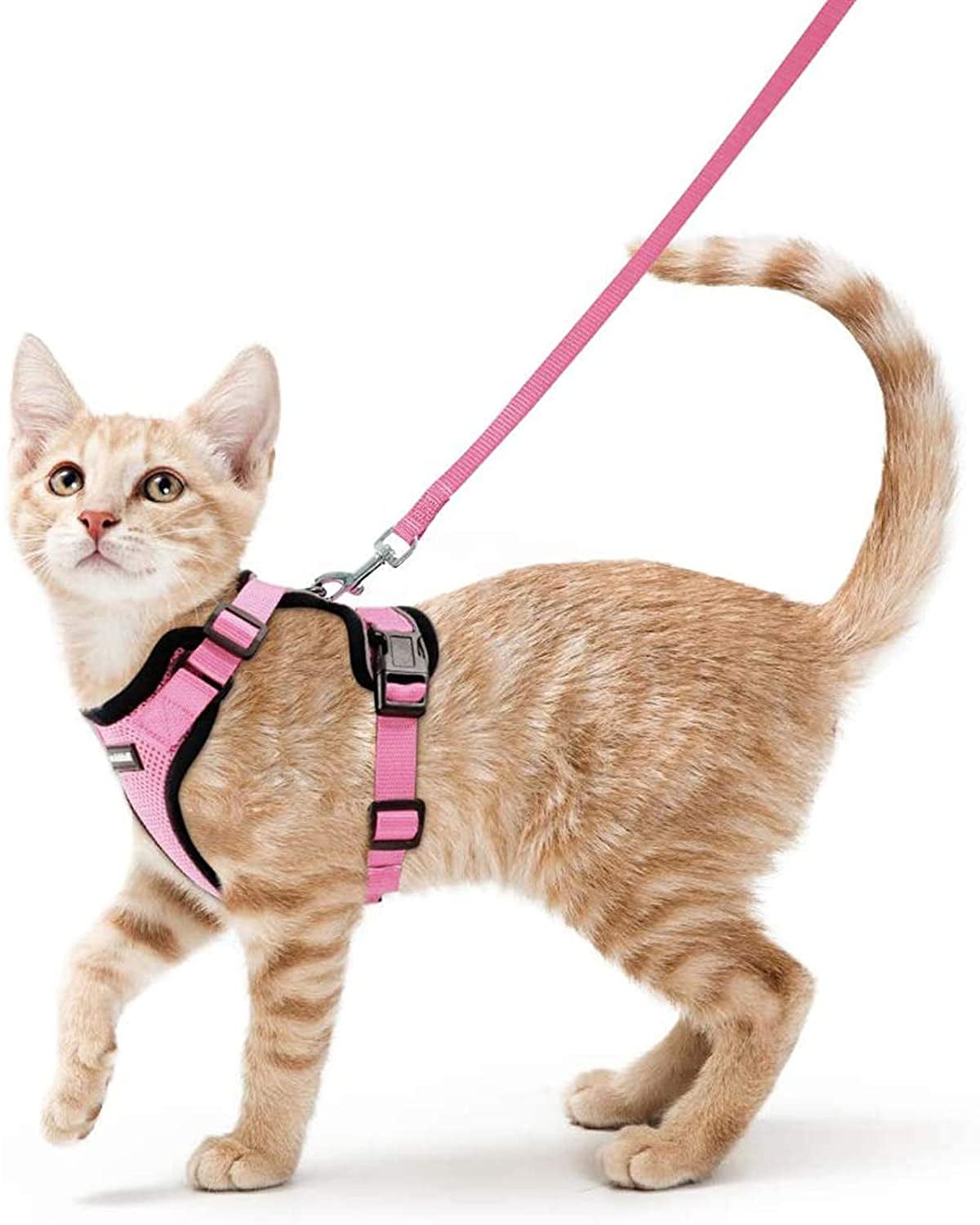 Soft Cat Harness and Leash Set for Walking Escape Proof Adjustable and Comfortable Kitten Vest Harness Breathable Cat Outdoor Walking Jacket and Collar for Small Medium Large Cats Kitten 