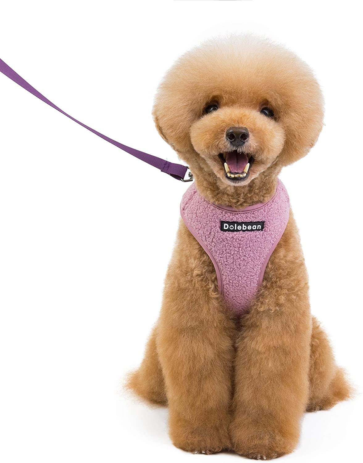 burberry dog harness vest