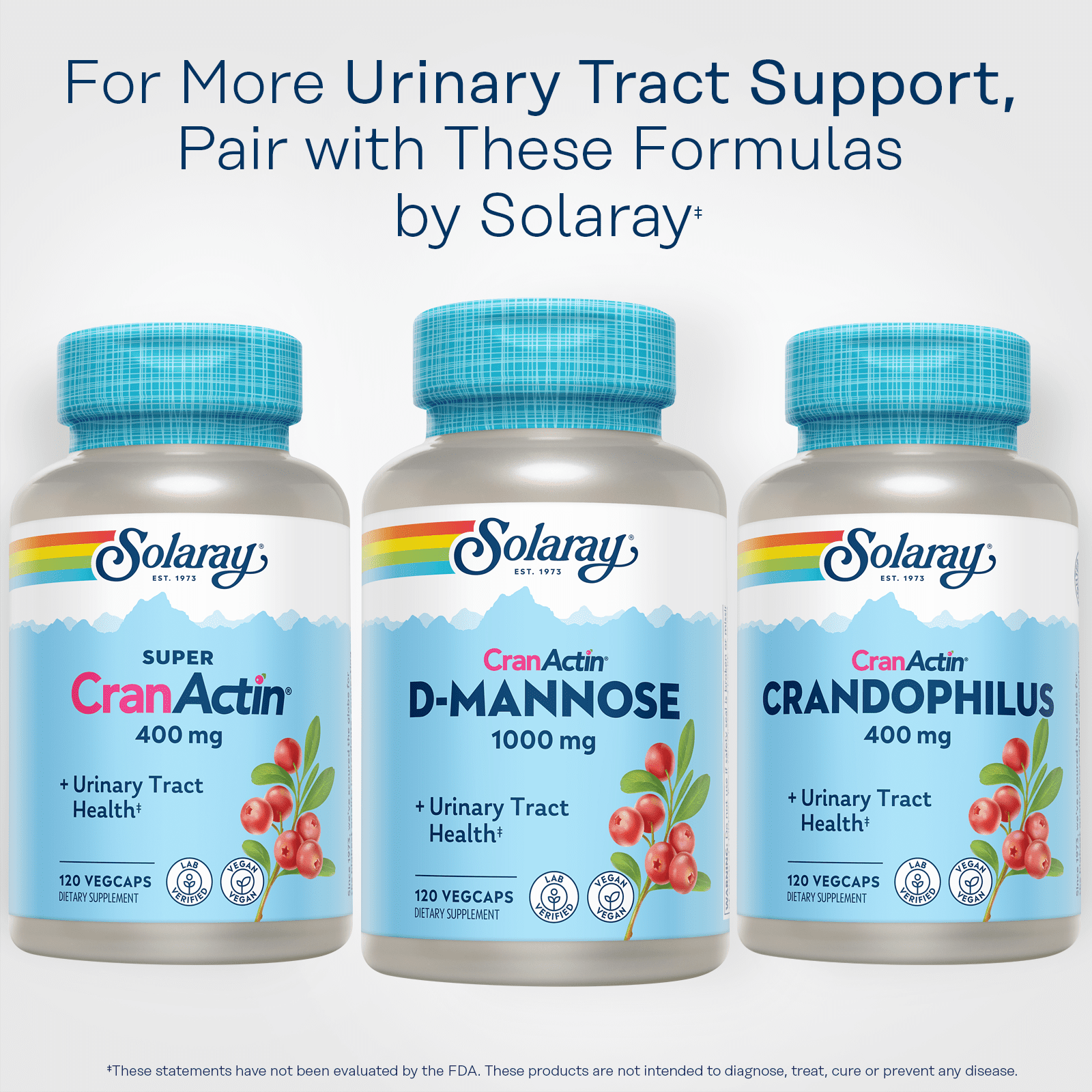 Solaray D-Mannose 1000mg with CranActin Cranberry Extract - D Mannose Cranberry Supplement with Vitamin C - Supports Urinary Tract and Bladder Health - Vegan, 60 Day Guarantee (120 CT)