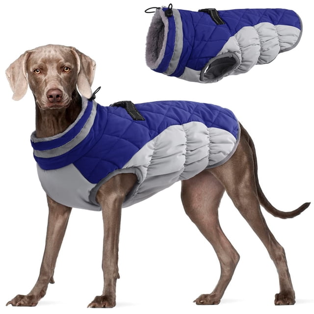 Abrigo FUAMEY para perro, chaqueta de invierno impermeable, azul, talla XL