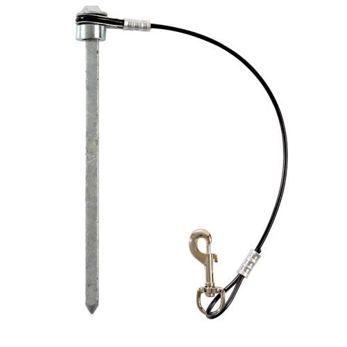 Soccer Goal Anchors Spike with Lanyard