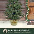 thumbnail image 6 of Fraser Hill Farm 4 ft. Heritage Pine Artificial Tree with Burlap Base and Multi-Colored LED String Lights, FFHP056-6GRB, 6 of 12