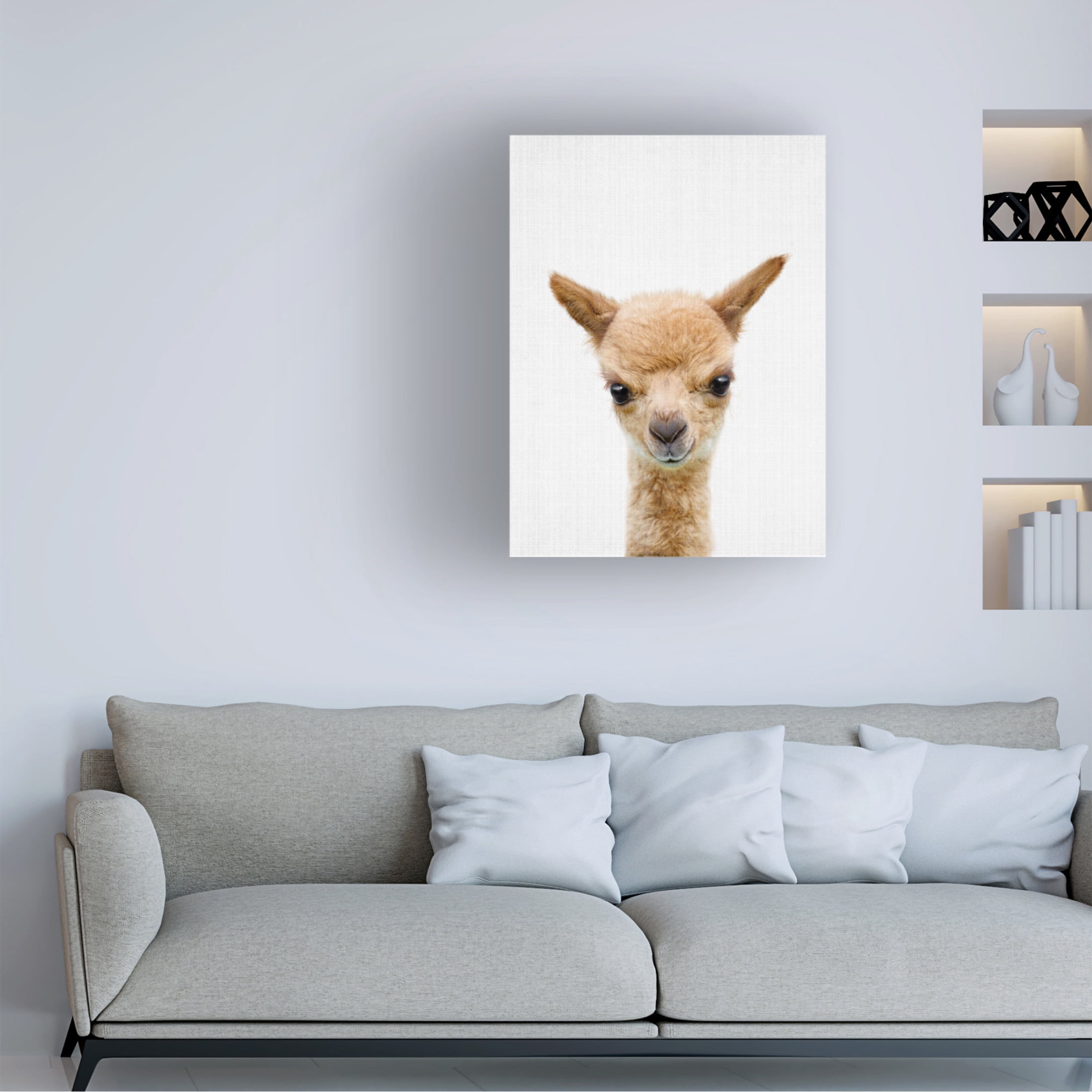 Trademark Fine Art Lola Peacock Peekaboo Baby Llama Canvas Wall Art