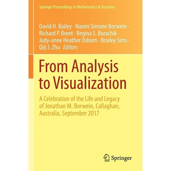 Springer Proceedings in Mathematics & St From Analysis to Visualization: A Celebration of the Life and Legacy of Jonathan M. Borwein, Callaghan, Australia, Septe, Book 313, (Paperback)