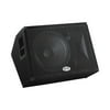 B-52 MX-MN15 15 Inch Two Way Stage Monitor 300 Watts