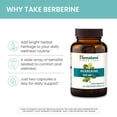 thumbnail image 4 of Suplemento de berberina del Himalaya 1000 mg 60 cápsulas vegano, 4 of 7
