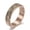 Rose Gold, variant on 6MM Gold/Rainbow/Silver/Black Spinner Band Womens Stainless Steel Ring Size 6-11