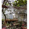 thumbnail image 4 of Industrial Tarpaulin Transparent Tarpaulin with Grommets, Thickened Waterproof Plastic Clear Tarpaulin (Color:0.3mm,Size:2.42m), 4 of 4