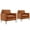 Brown + 2 Seat, variant on TS Cat paw leather upholstered sofa PC Brown,Nordic retro light luxurychairs in living room set of 2,lounge seating for apartment,cozy reading nook with vintage balcony for accent chair set of 2