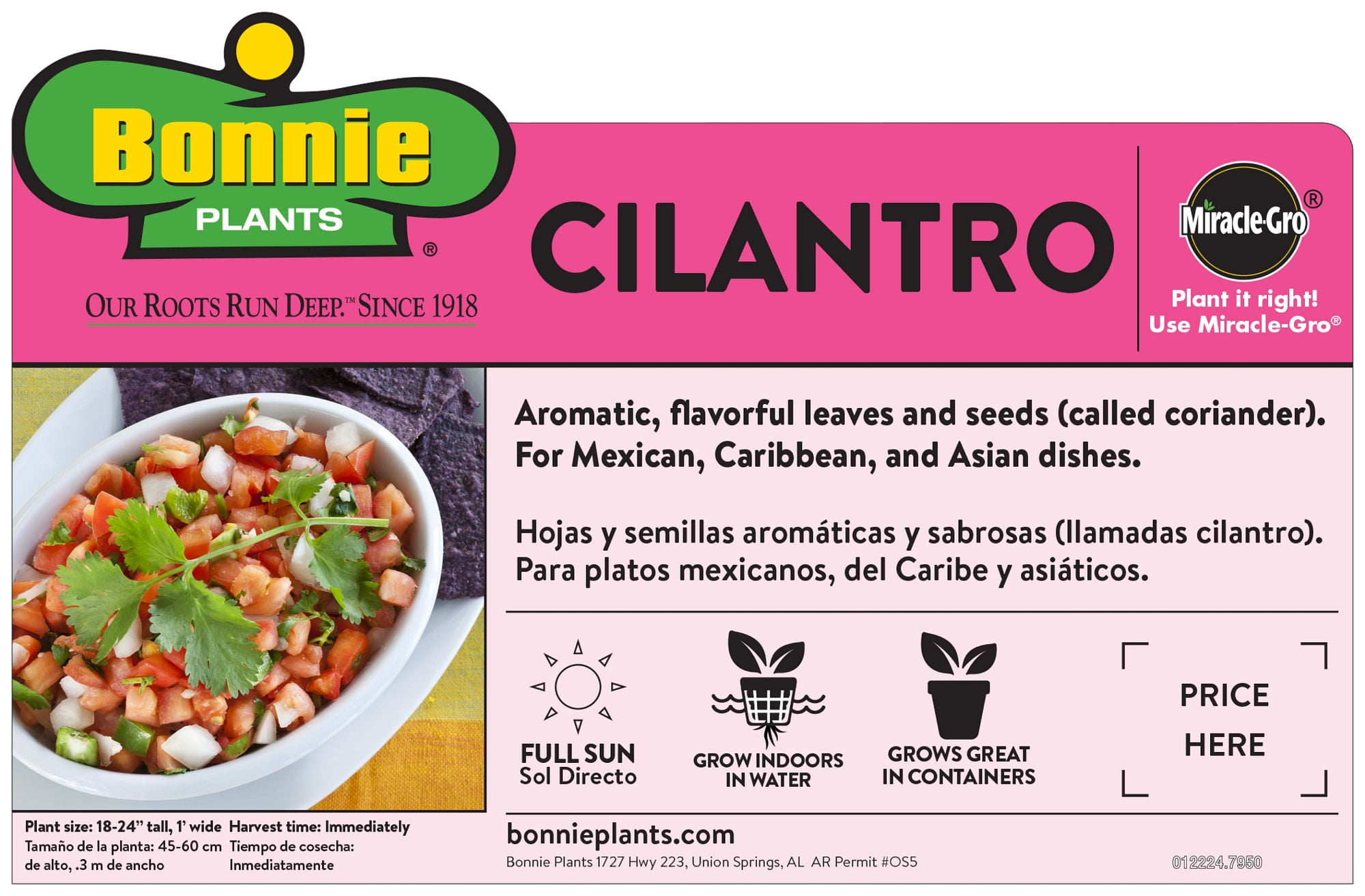 Bonnie Plants Cilantro 19.3 oz.
