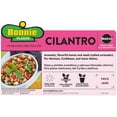 thumbnail image 3 of Bonnie Plants Cilantro 19.3 oz., 3 of 12
