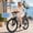 Blue, variant on ECLIO Electric Bike for Adults, 750W Brushless Motor 50 Mile Range 26" Low Step Commuter Ebike, Removable Hidden Battery - Blue