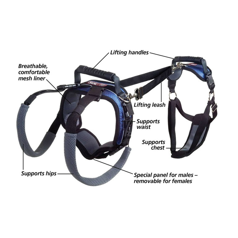 Carelift shop dog harness