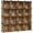 Black, variant on Cube Storage Organizer, Set of 16 Plastic Cubes, Book Shelf, Closet Organizers and Storage, Room Organization, Bedroom Living Room, 12.2 x 48.4 x 48.4 Inches, Camel Brown ULPC442K01