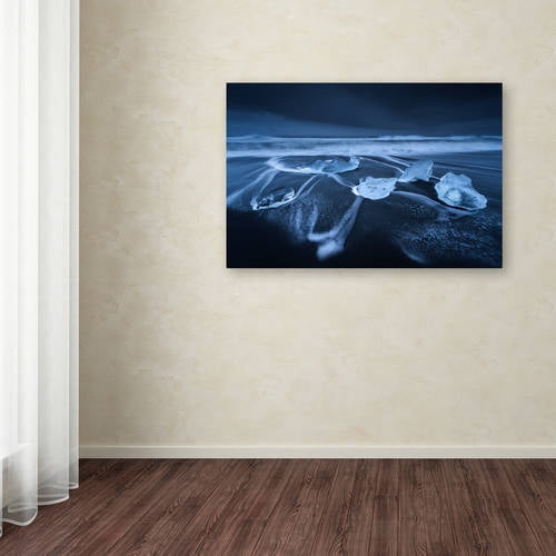Trademark Fine Art "The Ice Age" Canvas Art by Mathieu Rivrin