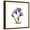 Brown Frame, variant on Art.com Purple Gentian Square Stretched Canvas Print Wall Art by Albert Koetsier, 30" x 30"