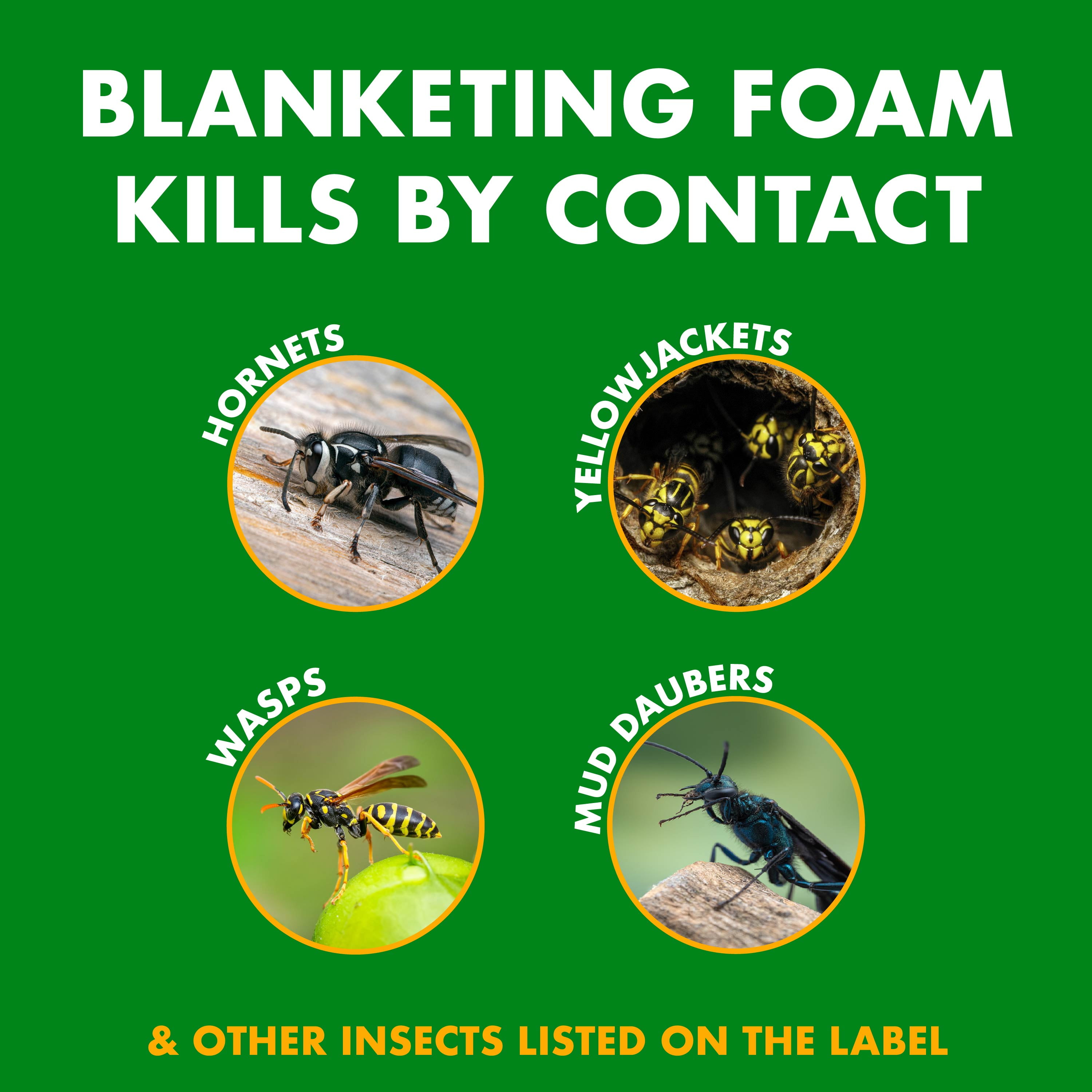 Spectracide Foaming Wasp and Hornet Killer, Blanketing Foam Kills by Contact, 14 oz