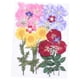 thumbnail image 1 of Pressed Flower Dried Nail Petals Art Craft Resin Crafts Plants Artificial Flower Stickers Decals, 1 of 5