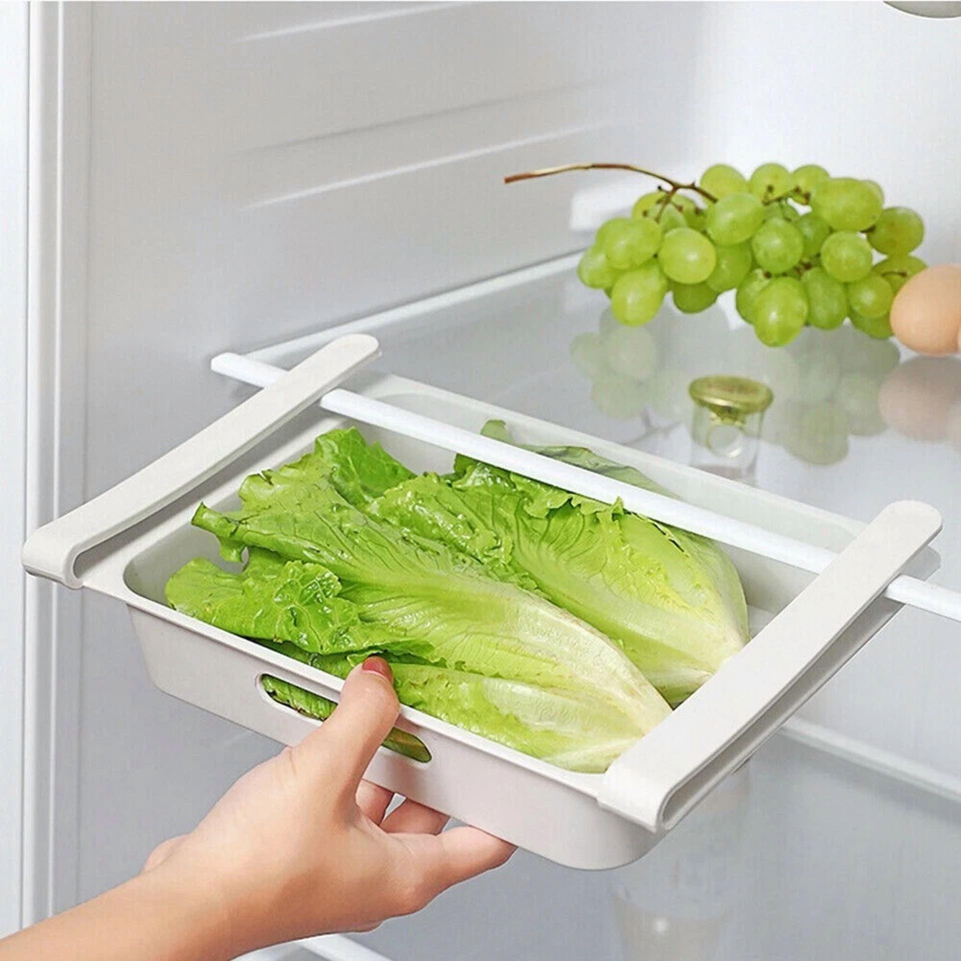 CIRCLE- Shelf For Kitchen Organizer Refrigerator Food Egg Storage Box Rack Fridge Drawer