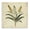Vintage Yellow Wheat Floral, variant on Stupell Industries French Country Vintage Blue Blossoms Wildflower Black Floating Frame Canvas Art, 18 x 18, by Petals Prints Design