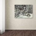 thumbnail image 3 of Trademark Fine Art 'Bedding Down' Canvas Art by Jenny Newland, 3 of 3