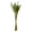 Green, variant on Vickerman 36" Natural Congo Grass, 8 oz Bundle, Dried