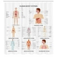 thumbnail image 3 of Ambesonne Human Anatomy Shower Curtain, Organs Body Structure, 69"Wx70"L, White and Multicolor, 3 of 3