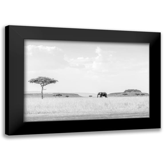 Marx, Jaco 14x11 Black Modern Framed Museum Art Print Titled - HIGH KEY SAVANNAH