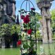thumbnail image 3 of Enrejado de para Plantas Trepadoras, Enrejado de Jardín, Soporte para Plantas de Vid Trepadora, Soporte para Flores, Torre para Plantas, 4 Piezas (A), 3 of 4
