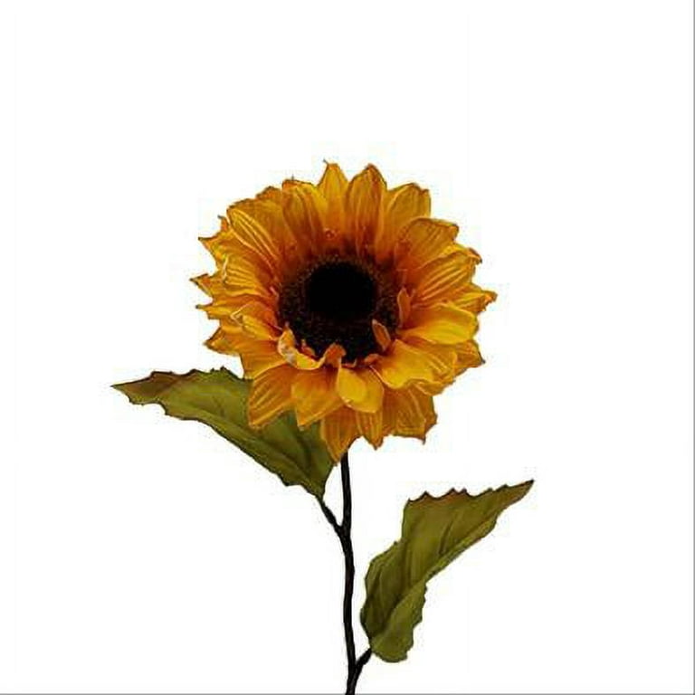 Dried StrawFlowers - Straw Flowers 10 stems per bunch 1.5-2.5in. Flowers  stemmed (about 12in. stem) -- Single bunch - Orange