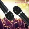 Microphone Professional Wireless Microphone System Dual Handheld 2 X Mic Receiver