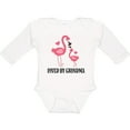 thumbnail image 3 of Inktastic Grandma Loves Me Flamingo Grandchild Girls Long Sleeve Baby Bodysuit, 3 of 5