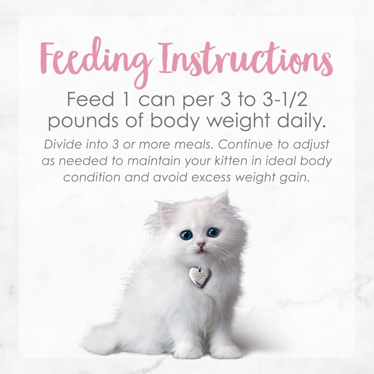 How Often To Feed Kittens Weeks Old