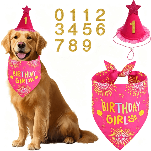 BESTSKY Dog Birthday Party Supplies, Rose Pink Dog Birthday Set with Hat Bandana Numbers for Xlarge Large Girl Pets Puppy Cute Hats for Dogs