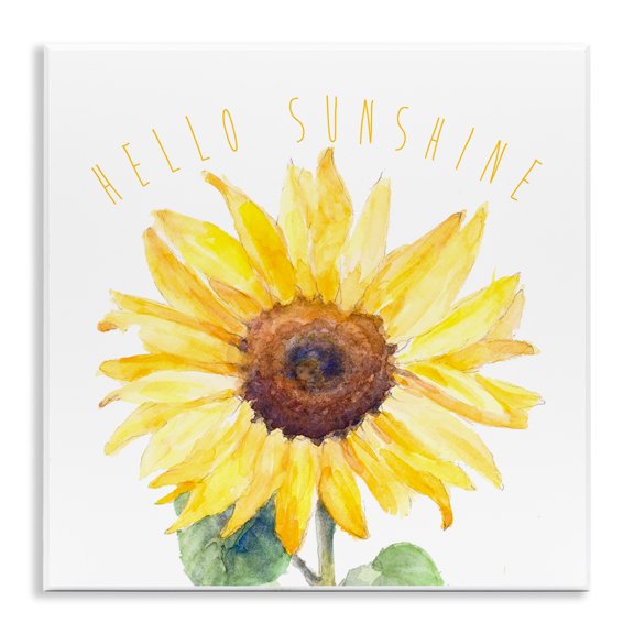 Stupell Industries Cottage Hello Sunshine Bloom Wall Plaque Art, 12 x 12, by Lanie Loreth