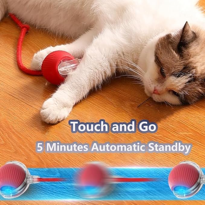 Pouncepal Upgrade Cat Toy USB Charge, 360° Smart Automatic Rolling Three Modes, Fast Charging and Long Lasting, Adaptable to All Cats