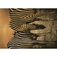 thumbnail image 1 of Ahgly Company Machine Washable Indoor Rectangle Transitional Midnight Gray Area Rugs, 2' x 3', 1 of 7
